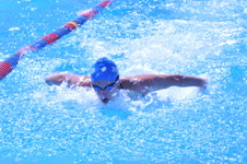 Enlarge photo 71