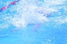 Enlarge photo 73