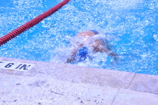 Enlarge photo 75