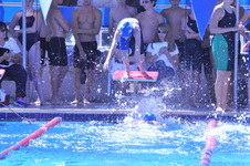Enlarge photo 81