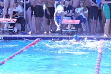 Enlarge photo 83
