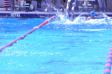 Enlarge photo 85
