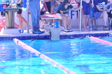 Enlarge photo 91