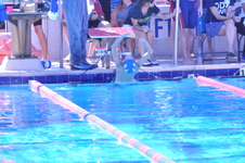Enlarge photo 93