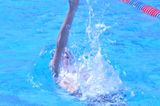 Enlarge photo 99
