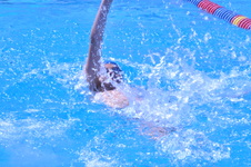 Enlarge photo 109