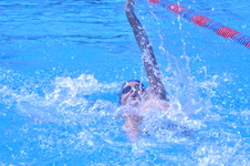 Enlarge photo 112