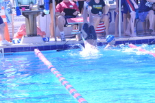 Enlarge photo 121