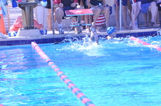 Enlarge photo 124