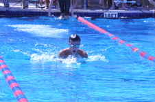 Enlarge photo 128