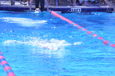 Enlarge photo 132