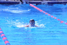 Enlarge photo 135
