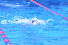 Enlarge photo 141