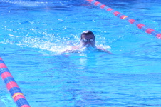 Enlarge photo 144