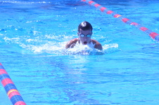 Enlarge photo 147