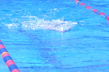Enlarge photo 149