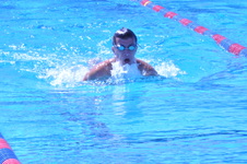 Enlarge photo 153