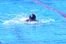 Enlarge photo 156