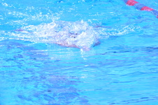 Enlarge photo 162