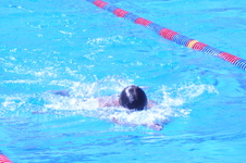 Enlarge photo 168