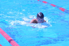 Enlarge photo 174