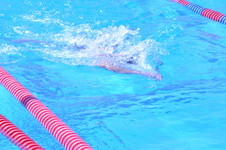 Enlarge photo 177