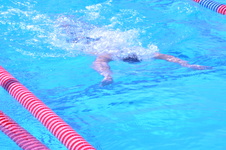 Enlarge photo 180