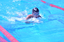 Enlarge photo 183