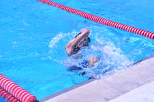 Enlarge photo 195