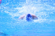 Enlarge photo 204