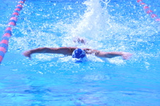 Enlarge photo 207