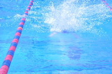 Enlarge photo 210
