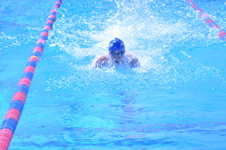 Enlarge photo 213