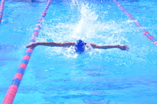 Enlarge photo 216