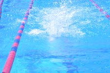 Enlarge photo 219