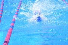 Enlarge photo 222