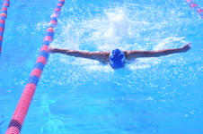 Enlarge photo 225