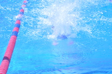 Enlarge photo 228