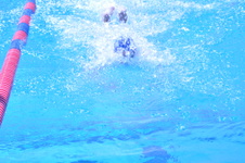 Enlarge photo 231