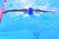 Enlarge photo 234