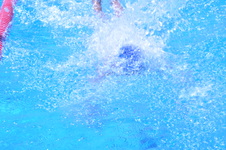 Enlarge photo 237