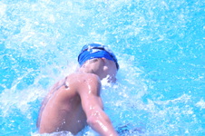 Enlarge photo 243