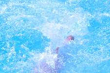 Enlarge photo 246