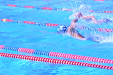 Enlarge photo 249