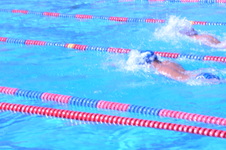 Enlarge photo 252