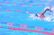 Enlarge photo 255