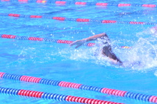 Enlarge photo 257