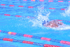 Enlarge photo 261