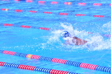 Enlarge photo 264