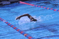 Enlarge photo 321